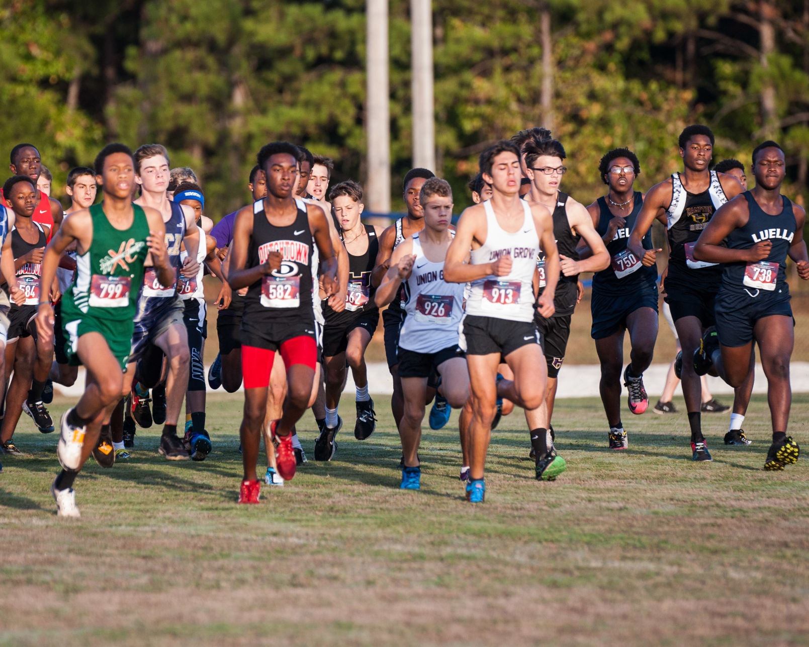 Cross Country County Championships (10).jpg